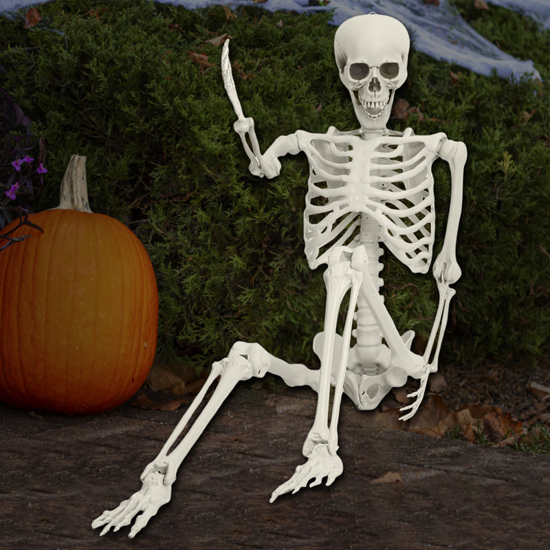 Plastic skeleton life size discount